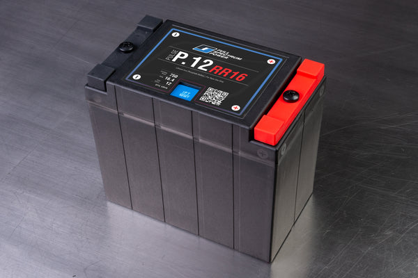 P.12RR16_600x.jpg?v=1728915044